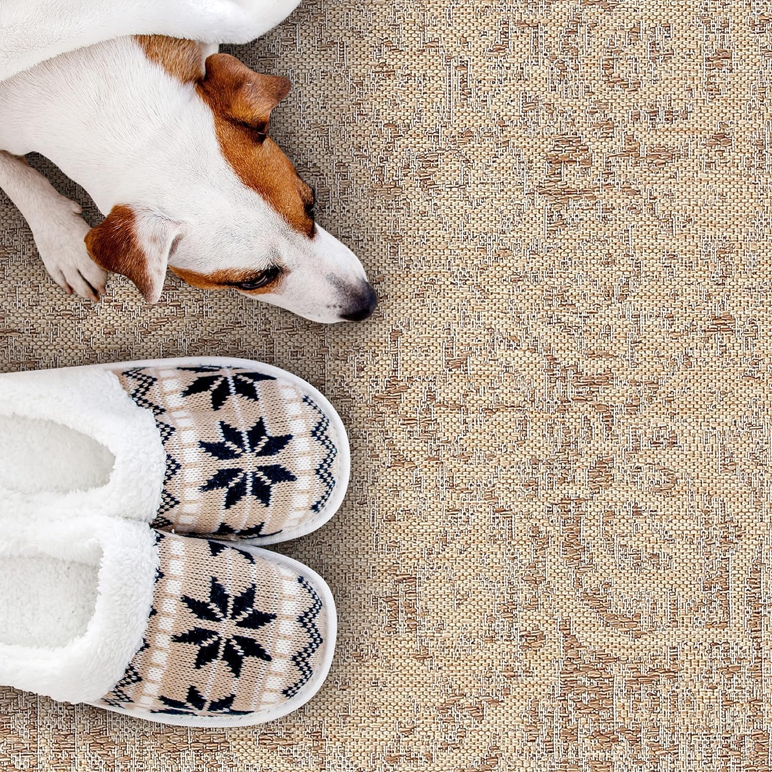 Outdoor Rugs Modern Vintage Look Carpets - Picture 33 of 64