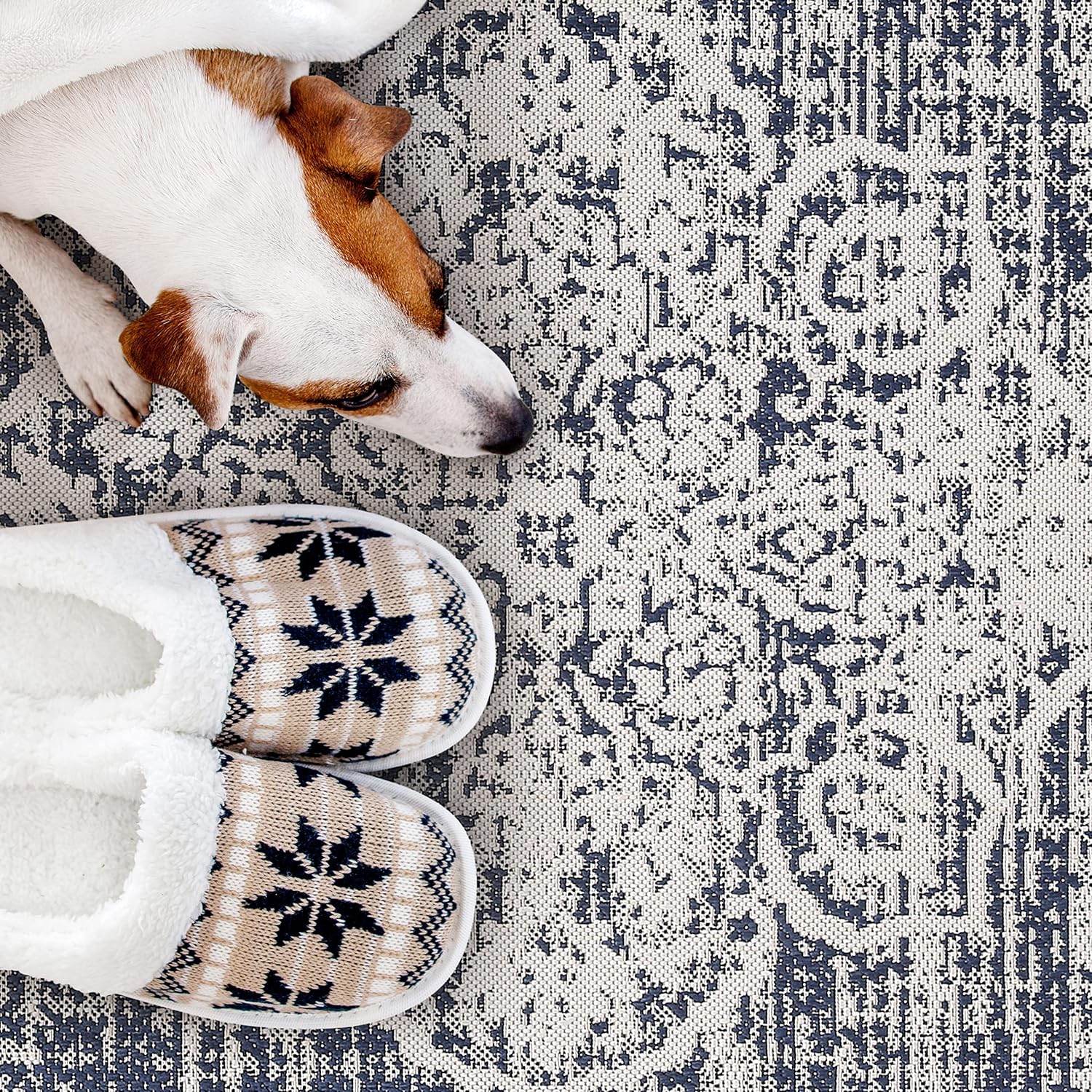 Outdoor Rugs Modern Vintage Look Carpets - Picture 54 of 64