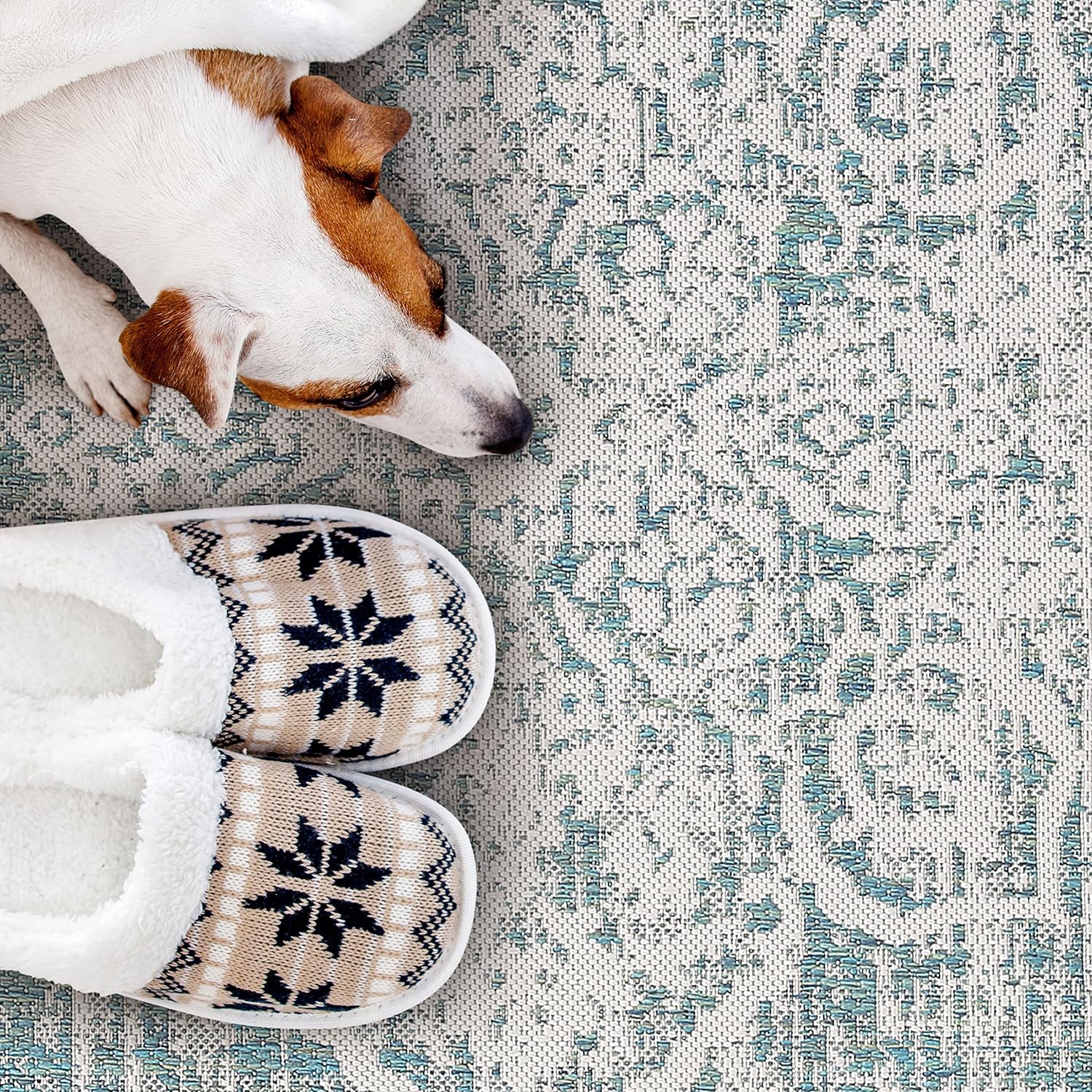 Outdoor Rugs Modern Vintage Look Carpets - Picture 63 of 64