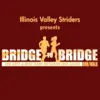 Bridge to Bridge Run