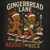 Gingerbread Lane 5K & 10K - Fort Worth