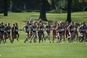 2007-10-28_10-49-28.jpg