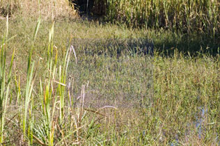 2007-09-08_09-47-02.jpg