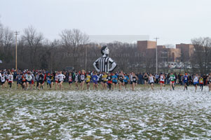 2007-11-24_11-58-31.jpg