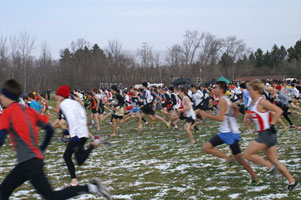 2007-11-24_11-58-40.jpg