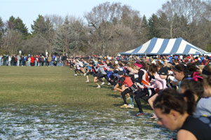 2007-11-24_12-38-24.jpg