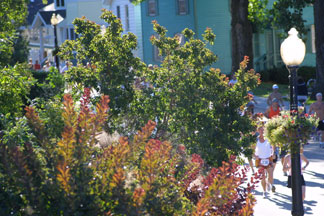 2007-09-08_09-30-41.jpg