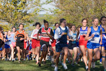 2007-10-13_10-01-19.jpg