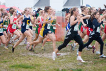 2007-10-27_10-32-27.jpg