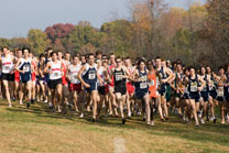 2007-11-10_11-59-20.jpg