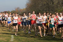 2007-11-10_11-59-26.jpg