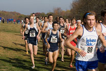 2007-11-10_11-59-30.jpg
