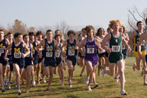 2007-11-10_12-02-23.jpg