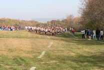 2007-11-10_12-02-13.jpg
