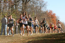 2007-11-10_12-08-47.jpg