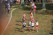 2007-11-10_12-14-07.jpg