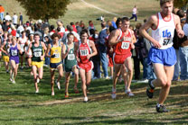 2007-11-10_12-14-40.jpg
