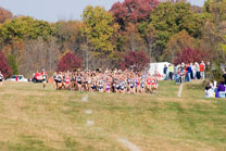 2007-11-10_13-13-41.jpg