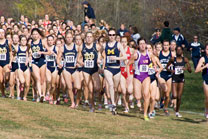 2007-11-10_13-14-14.jpg