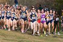 2007-11-10_13-14-15.jpg