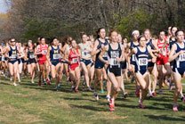 2007-11-10_13-14-23.jpg