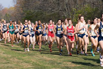 2007-11-10_13-14-24.jpg