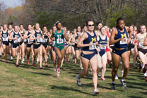 2007-11-10_13-14-26.jpg
