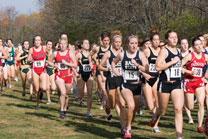 2007-11-10_13-14-29.jpg