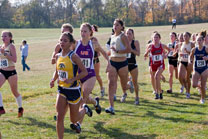 2007-11-10_13-16-04.jpg