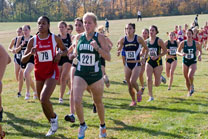 2007-11-10_13-16-13.jpg