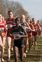 2007-11-10_13-17-43.jpg