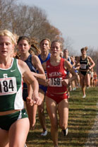 2007-11-10_13-17-44.jpg