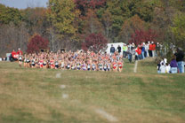 2007-11-10_13-16-44.jpg
