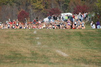 2007-11-10_13-16-54.jpg
