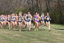 2007-11-10_13-17-24.jpg