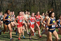 2007-11-10_13-17-27.jpg