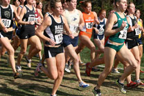2007-11-10_13-17-30.jpg