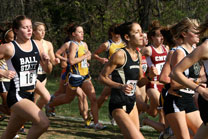2007-11-10_13-17-31.jpg