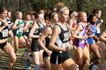2007-11-10_13-17-32.jpg