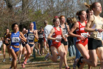 2007-11-10_13-21-03.jpg