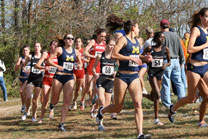 2007-11-10_13-21-07.jpg