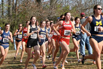 2007-11-10_13-21-09.jpg