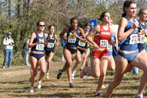 2007-11-10_13-21-10.jpg