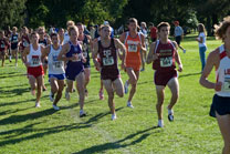 2007-09-28_17-04-20.jpg