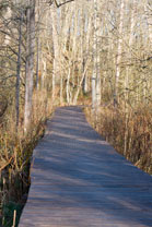 2007-04-29_07-54-37.jpg
