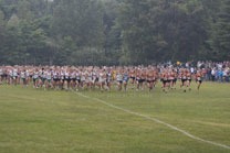 2008-08-28_18-31-19.jpg