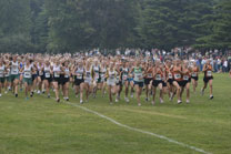 2008-08-28_18-31-24.jpg
