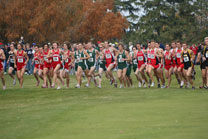 2008-11-02_12-31-53.jpg