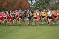 2008-11-02_12-31-55.jpg