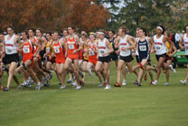 2008-11-02_12-31-57.jpg
